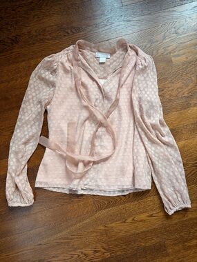 Rachel Parcell Blush Pink Swiss Dot Tie-Neck Blouse